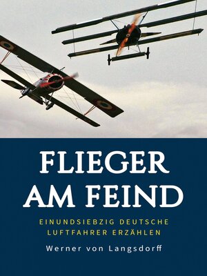 cover image of Flieger am Feind